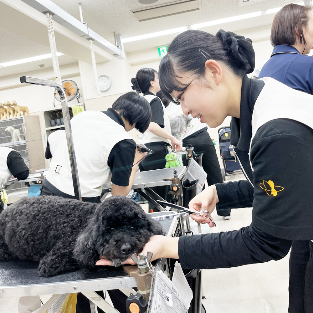 新２年生のトリミング実習！